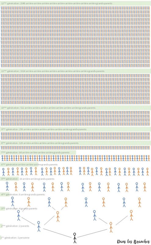 Arbre 12 générations 2048 personnes