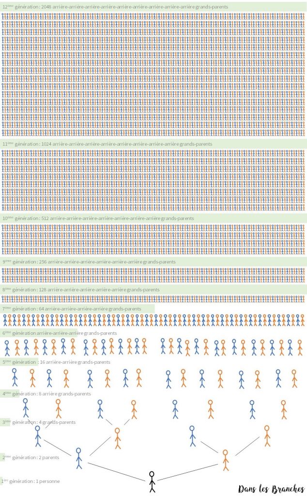 Arbre 12 générations 2048 personnes