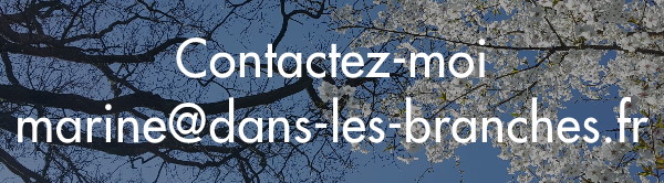 Contactez-moi
