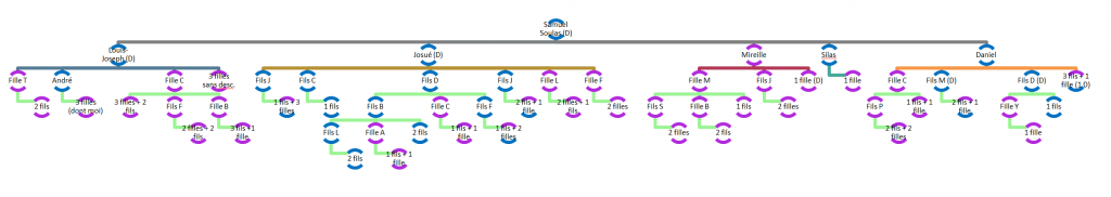 SOULAS Samuel - Mapping descendance Samuel SOULAS