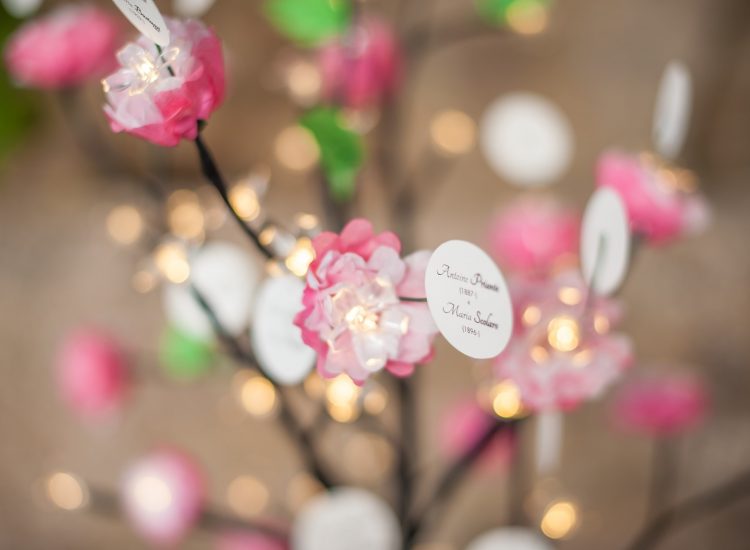 Arbre Généalogique Modèle Printemps