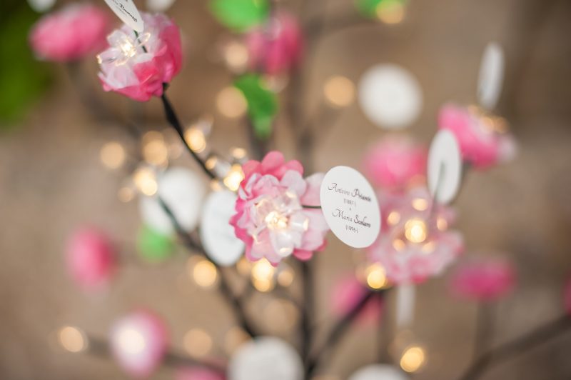 Arbre Généalogique Modèle Printemps