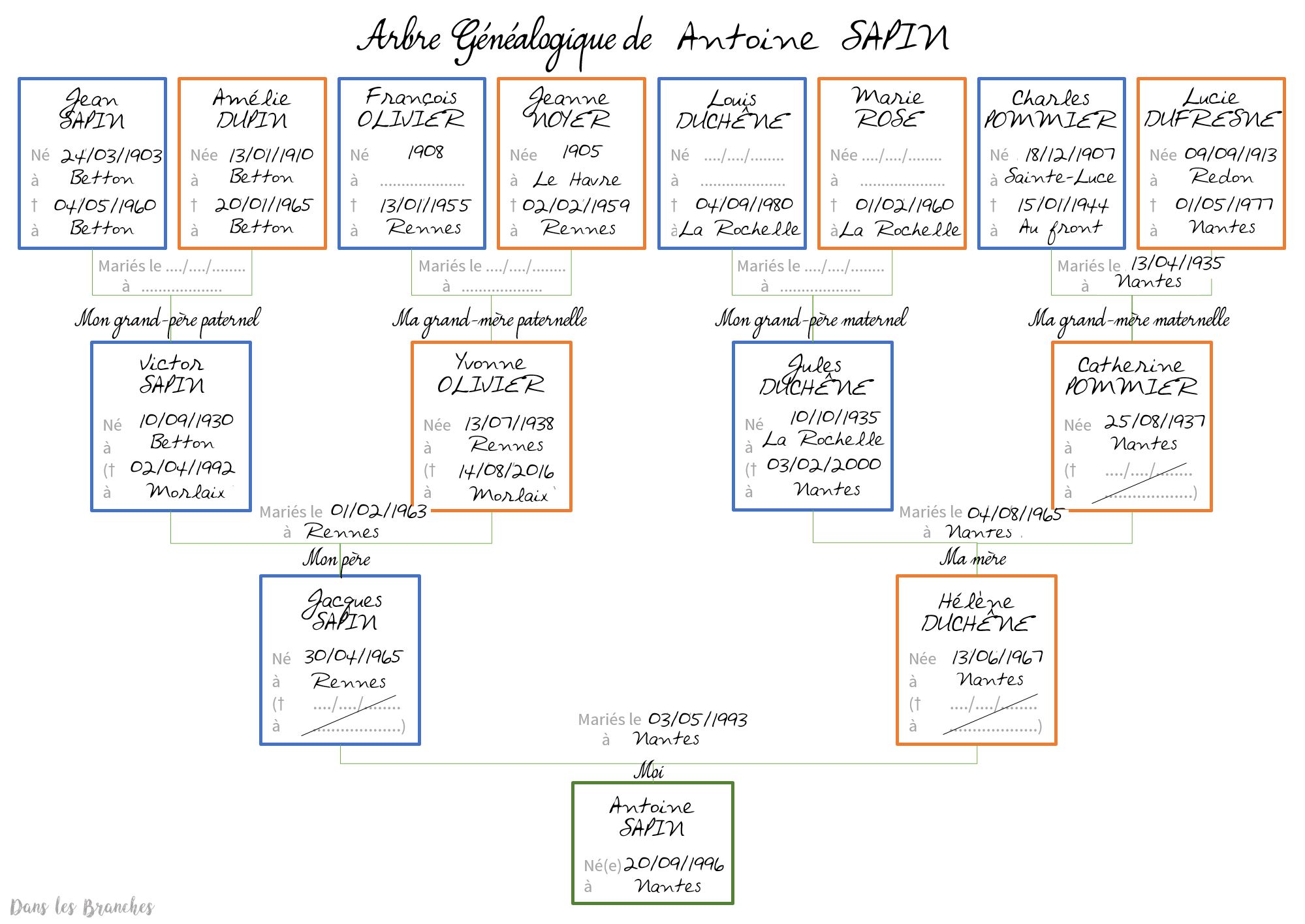 Complète ton arbre généalogique • Dans les Branches