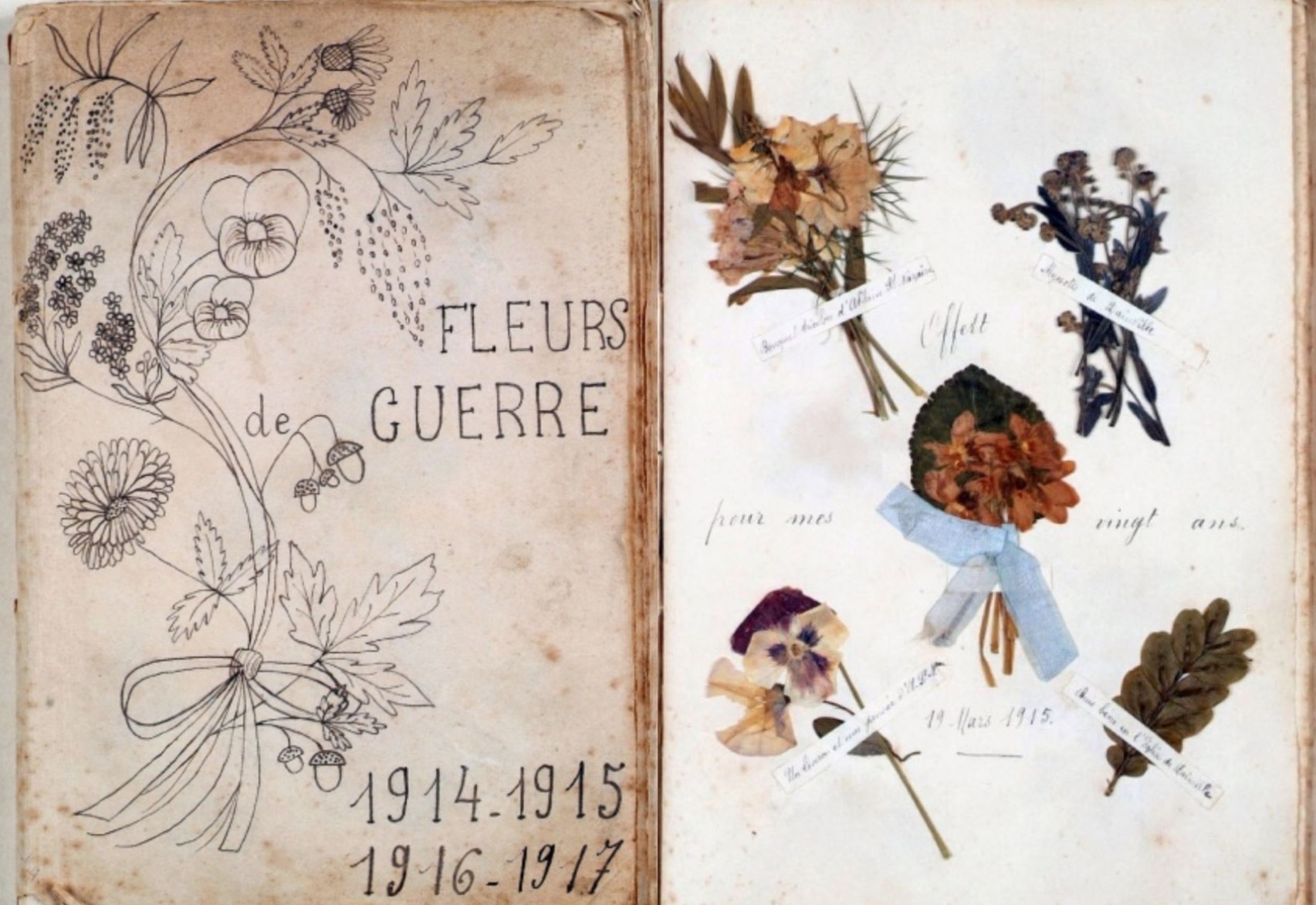 Fleurs de Guerre