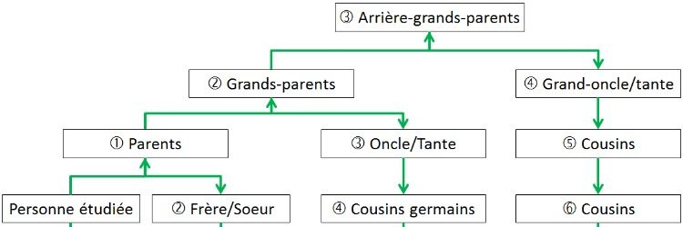 Pierre Soulas et les degrés de parenté